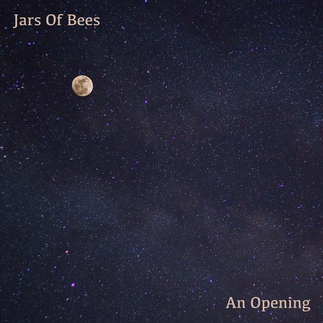 Jars Of Bees's avatar image