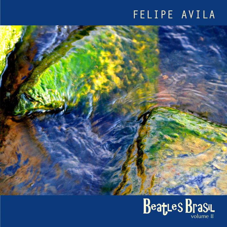 Felipe Avila's avatar image
