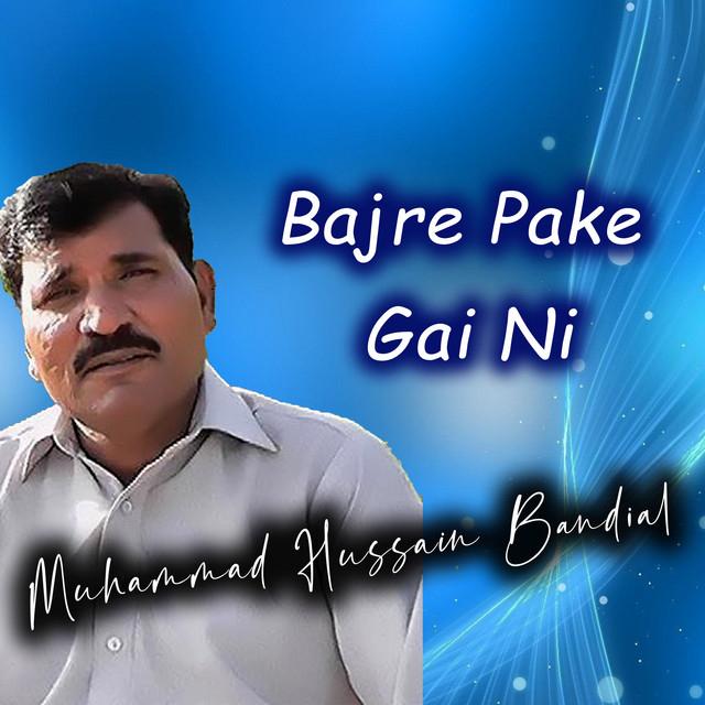 Muhammad Hussain Bandial's avatar image