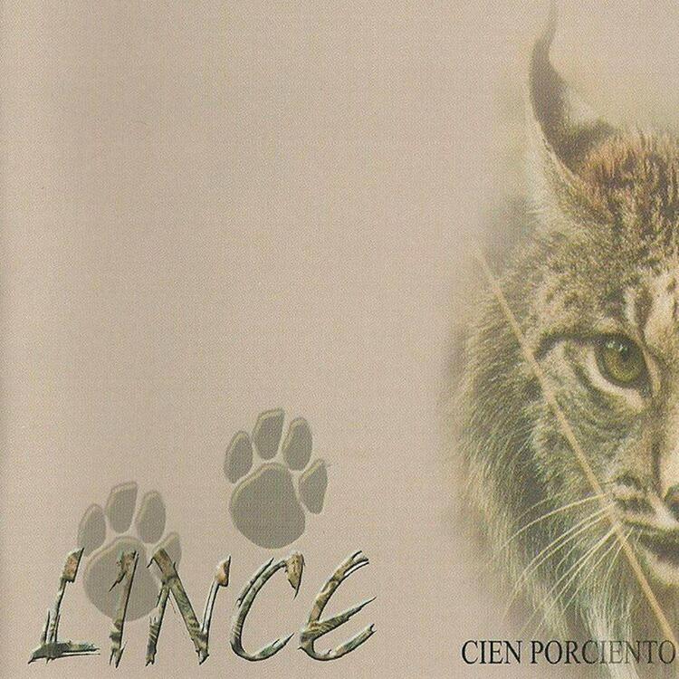 Lince's avatar image