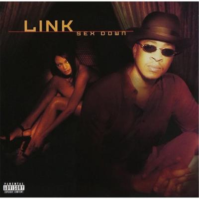 I Really Wanna Sex Your Body By Link's cover