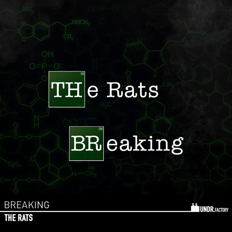 The Rats's avatar image