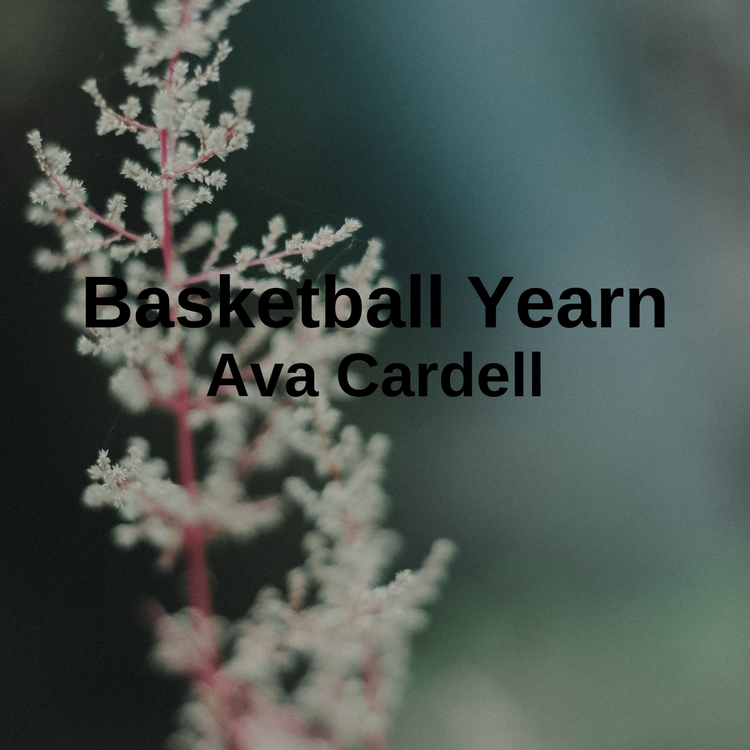 Ava Cardell's avatar image