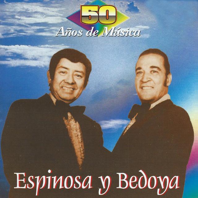 Espinosa y Bedoya's avatar image