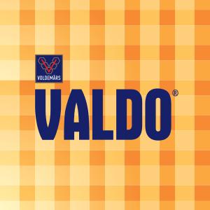 Valdo's avatar image