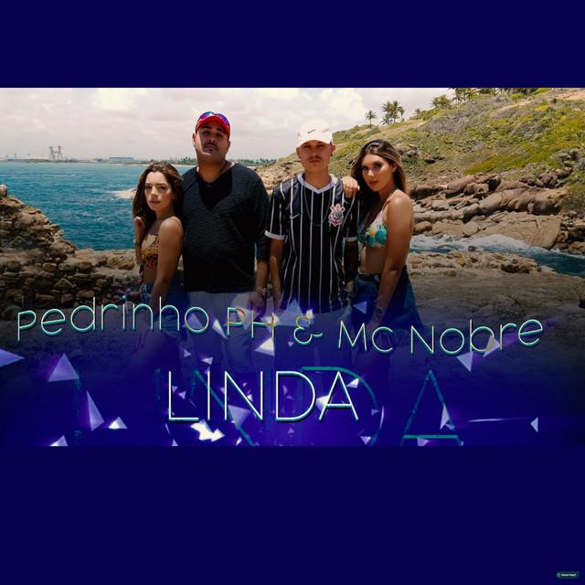 Pedrinho PH's avatar image