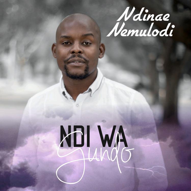 Ndinae Nemulodi's avatar image