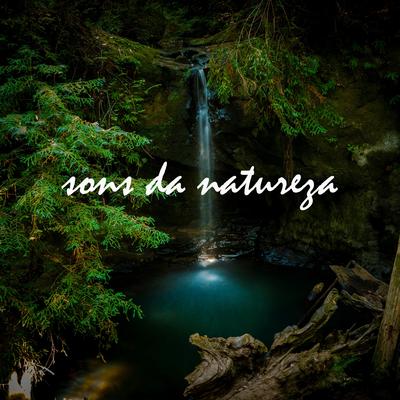 Sons da Floresta para Relaxar By Para Dormir's cover