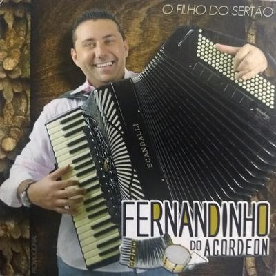 Outra Vida By Fernandinho do acordeon's cover
