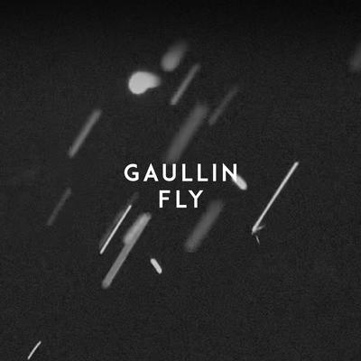 Fly By Gaullin's cover