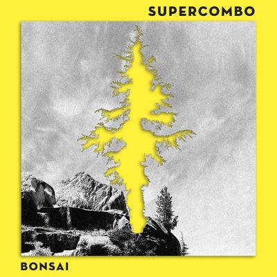 Bonsai (Radio Edit) By Supercombo's cover