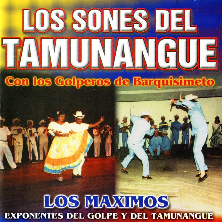 Los Golperos de Barquisimeto's avatar image