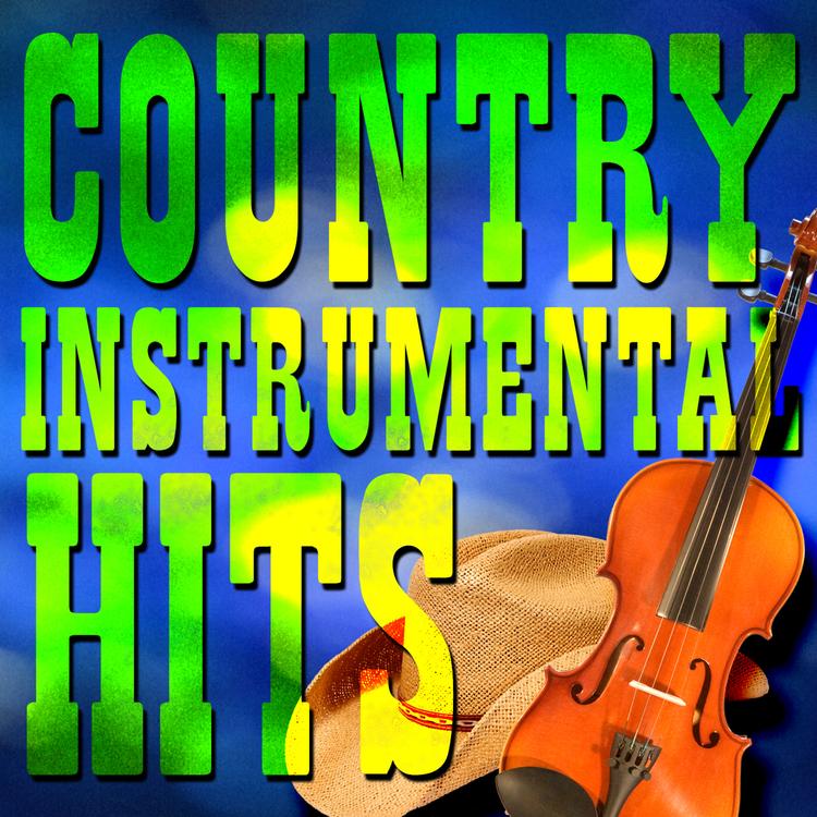 #1 Country Instrumental Hits's avatar image