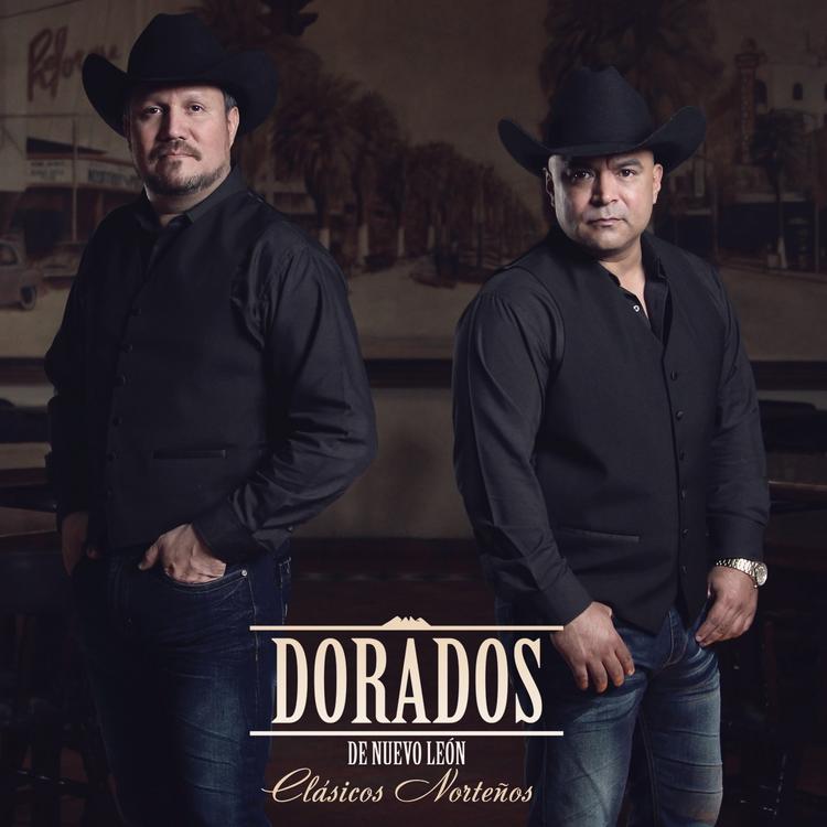 Dorados De Nuevo Leon's avatar image