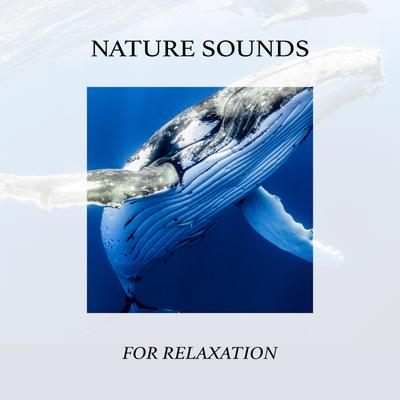 Nature Rain (Original Mix)'s cover