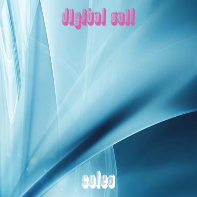 Digital Sail's cover