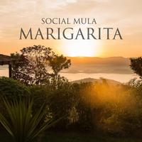 Social Mula's avatar cover