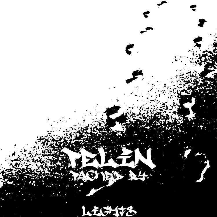 Pelin's avatar image
