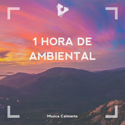 1 Hora De Ambiental's cover