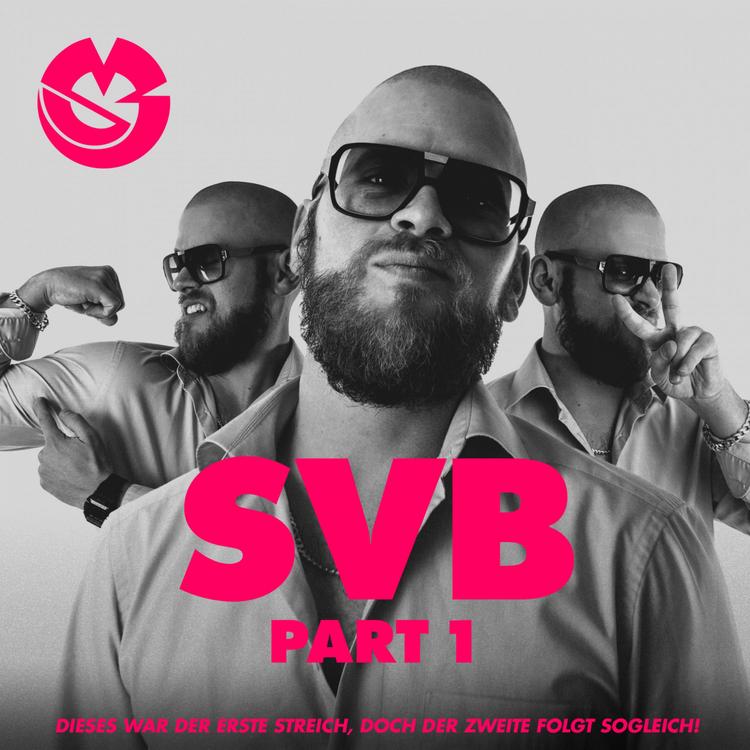 SVB's avatar image