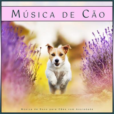 Música Calmante Para Cães's cover