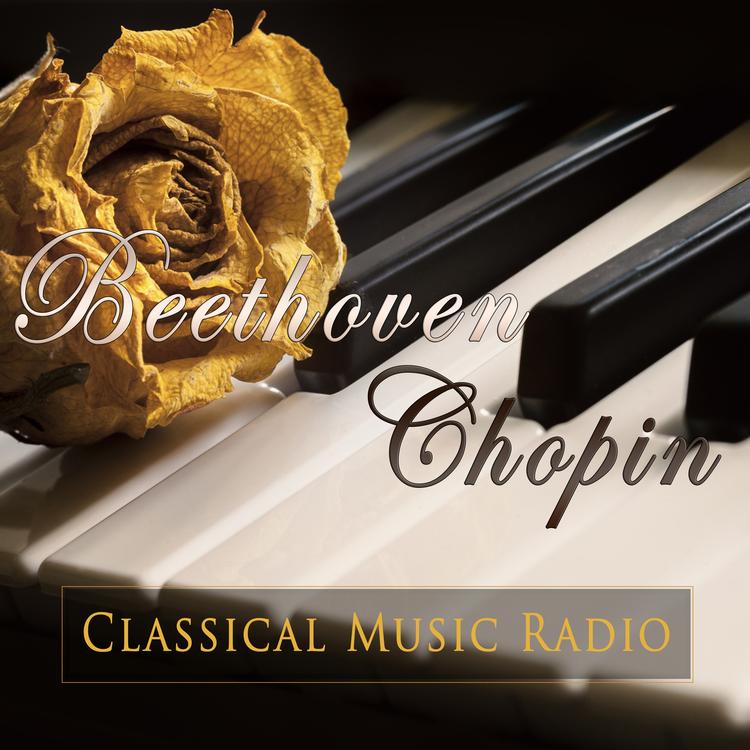 Classical Music Radio's avatar image