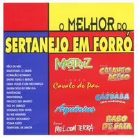 Sertanejo em Forró's avatar cover