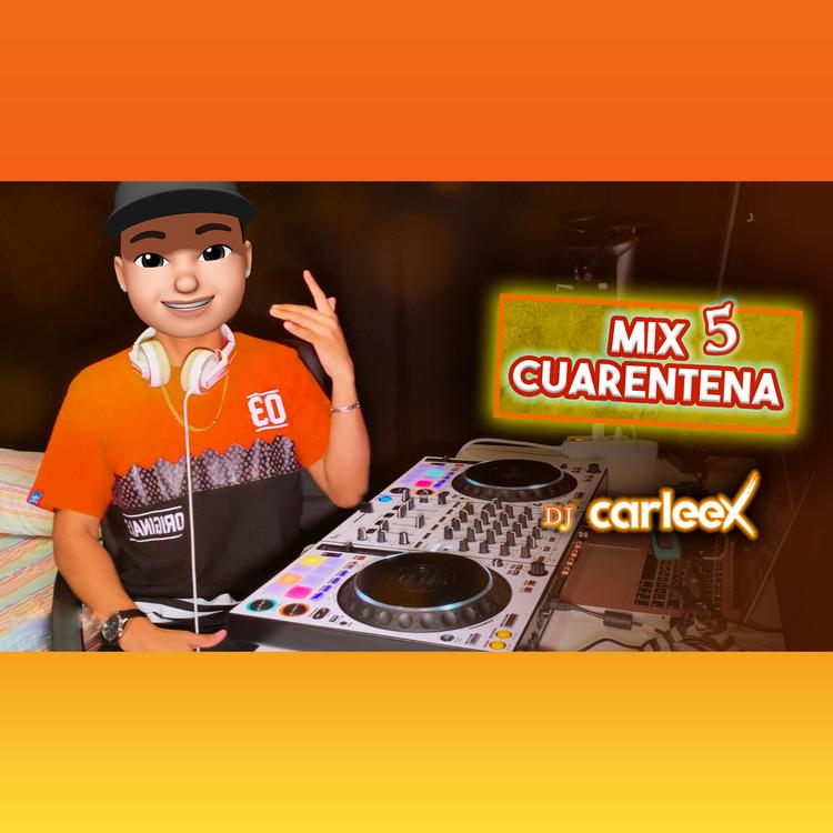 DJ CARLEEX's avatar image