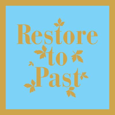 Liquid Denial By Restore to Past's cover