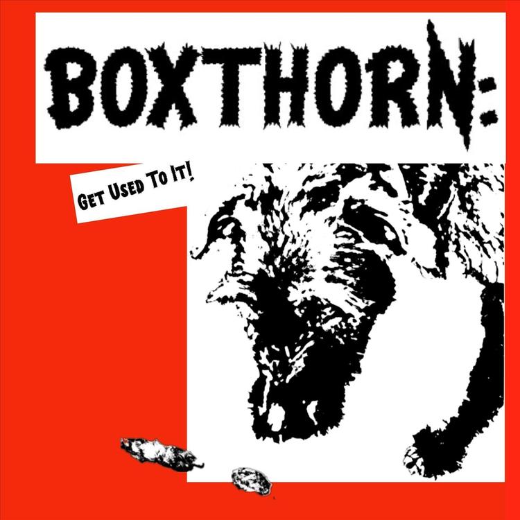 Boxthorn's avatar image