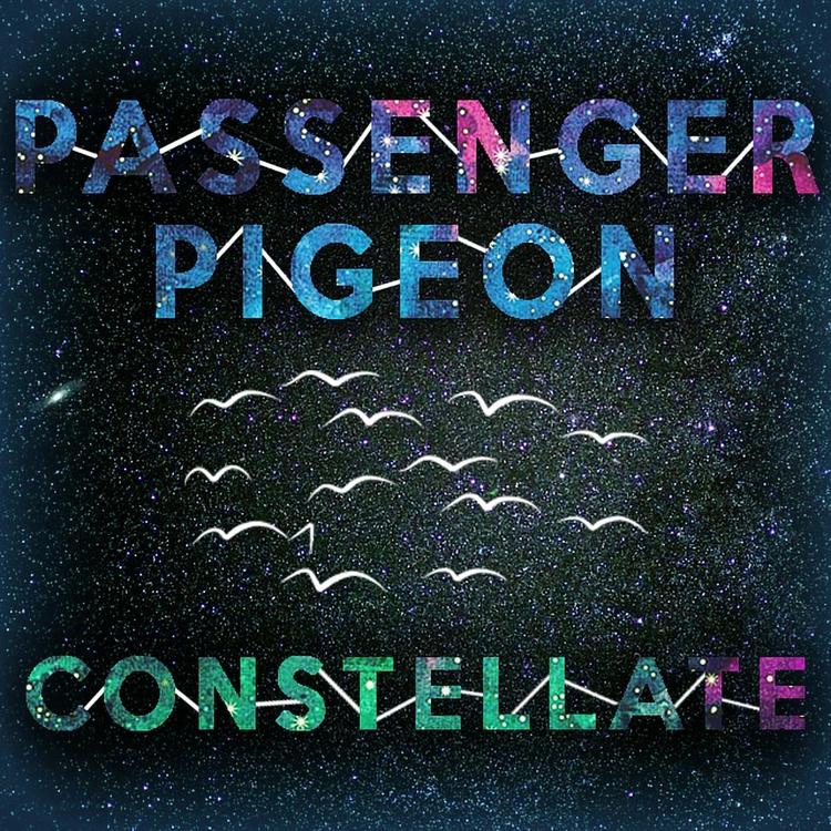 Passenger Pigeon's avatar image