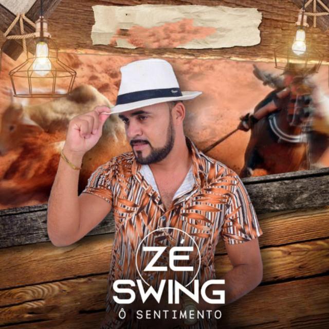 Zé vaqueiro Swing's avatar image