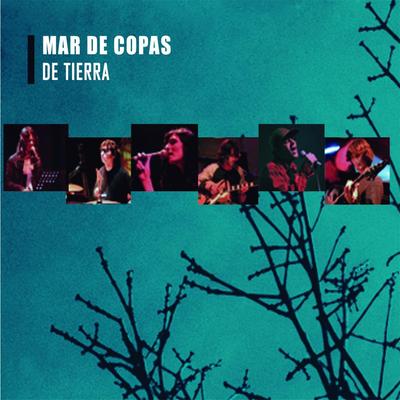 De Tierra's cover