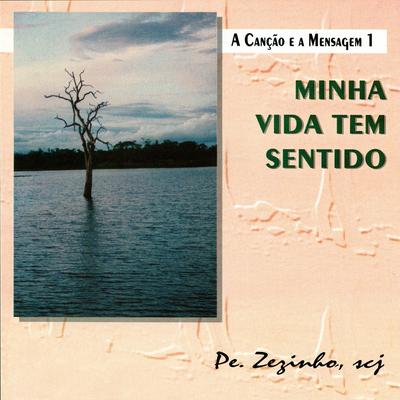 Minha Vida Tem Sentido By Pe. Zezinho, SCJ's cover