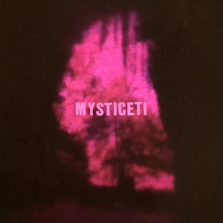 Mysticeti's avatar image