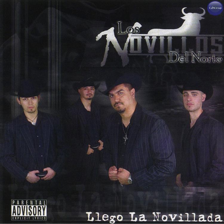 Los Novillos Del Norte's avatar image