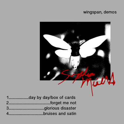 Day by Day / Box of Cards (Demo) By sophie meiers's cover