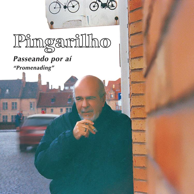 Pingarilho's avatar image