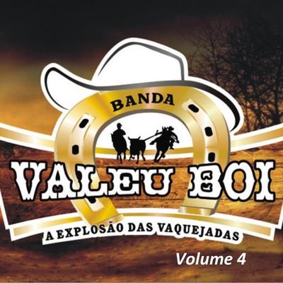 O Rei Das Vaquejadas By Banda Valeu Boi's cover