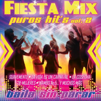 FIESTA MIX's cover