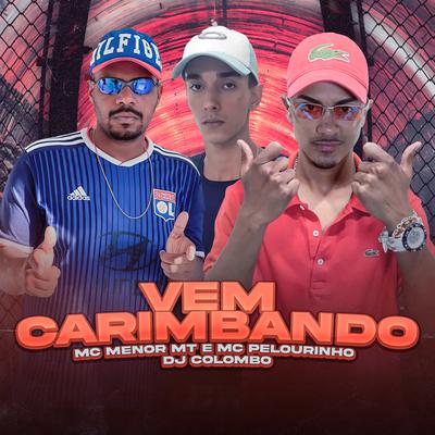 Vem Carimbando's cover