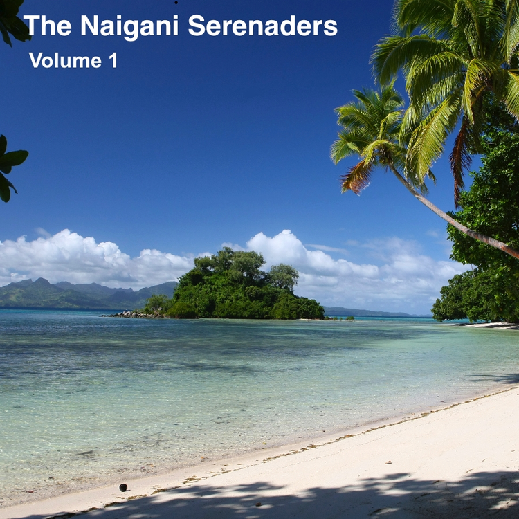 Naigani Serenaders's avatar image