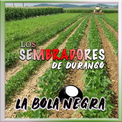 De Huaraches y Sombrero (En Vivo)'s cover