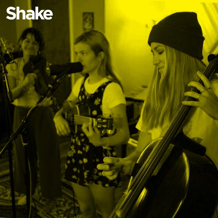 Shake Music TV's avatar image