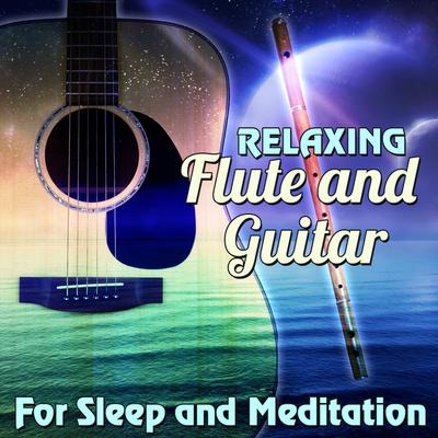 Flute Concerto in E Minor Largo By Peaceful Mediation Specialists's cover