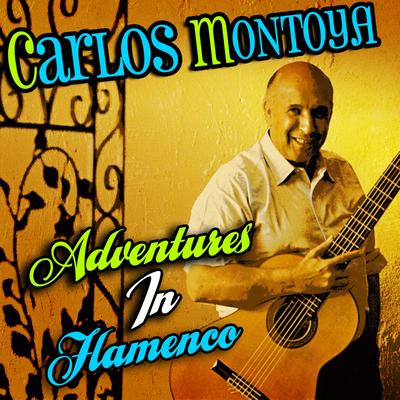 Adventures In Flamenco's cover