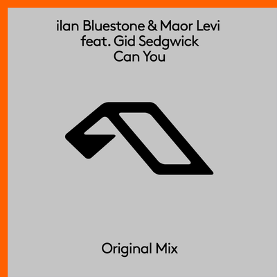 Can You By Ilan Bluestone, Maor Levi, Gid Sedgwick's cover