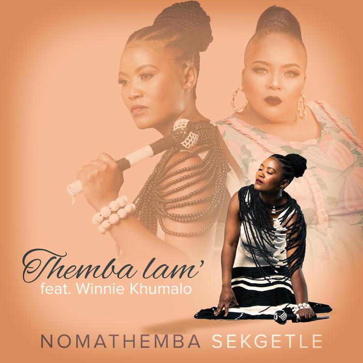 Nomathemba Sekgetle's avatar image