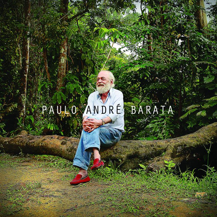 Paulo André Barata's avatar image