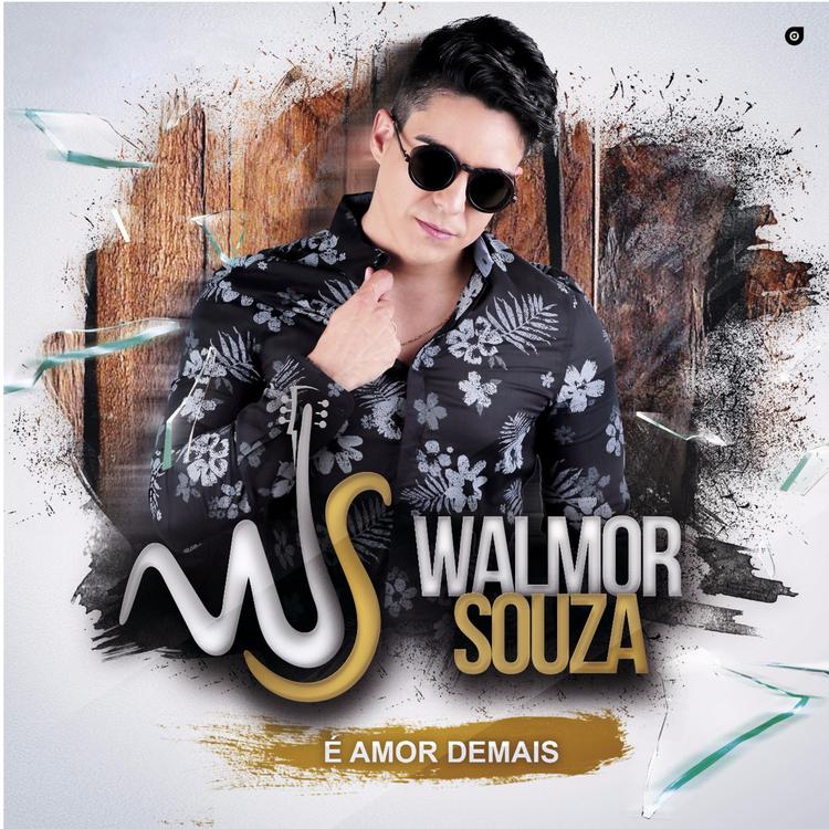 Walmor Souza's avatar image